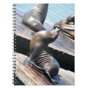 Caderno Espiral Leão do Mar de Basco