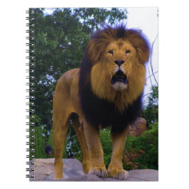 Caderno Espiral Leão em Rock