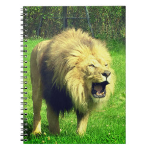 Caderno Espiral Leão masculino