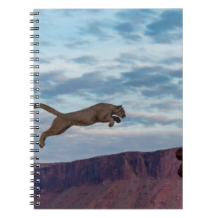 Caderno Espiral Leão Montanhês Salto Amanhã no Skypulo, leão, anim