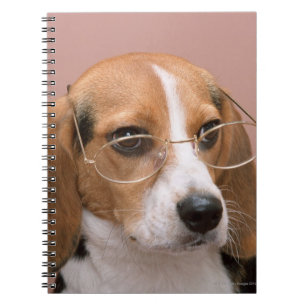 Caderno Espiral Lebreiro