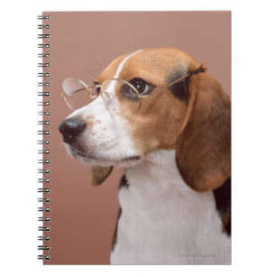 Caderno Espiral Lebreiro