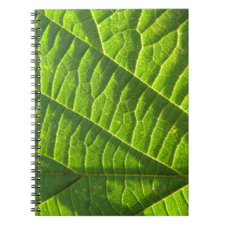 Caderno Espiral Legal literatura verde