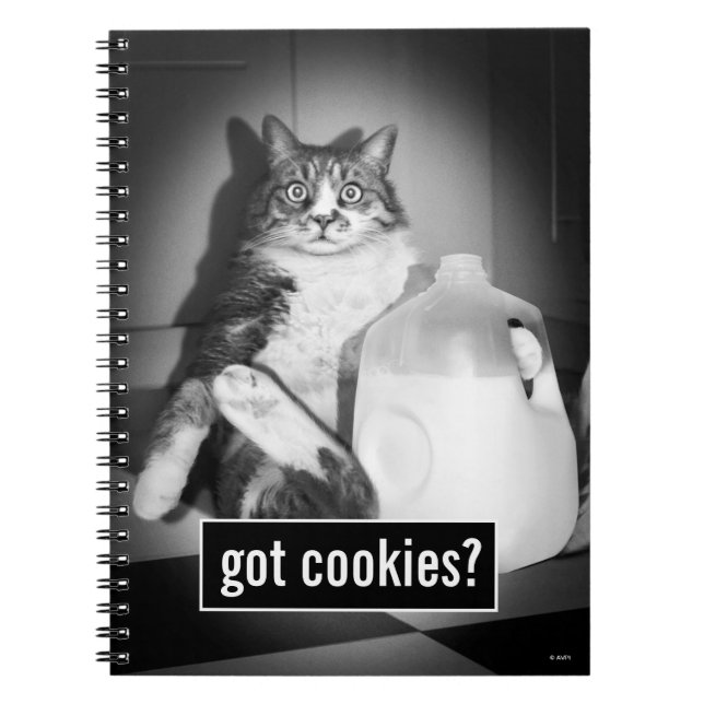 Caderno Espiral Leite De Bebendo De Gato De Jug (Frente)