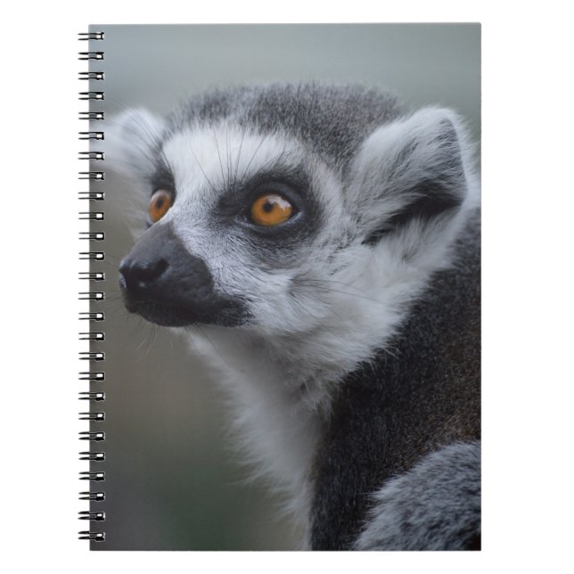 Caderno Espiral Lemur (Frente)
