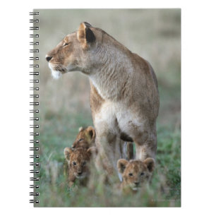 Caderno Espiral Leoa (Panthera leo) & Masai Mara de Cubs