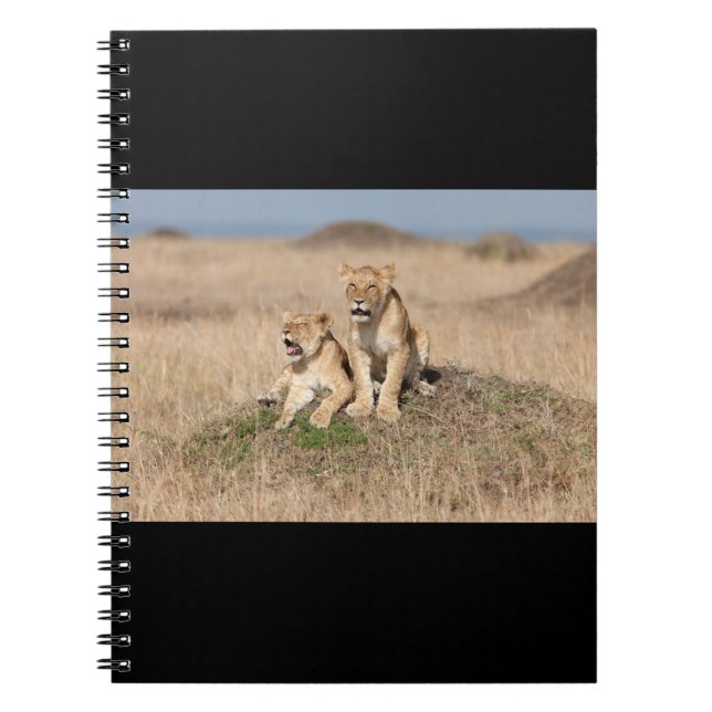 Caderno Espiral Leões jovens (Frente)