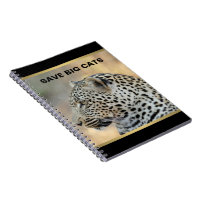 Leopardo 1
