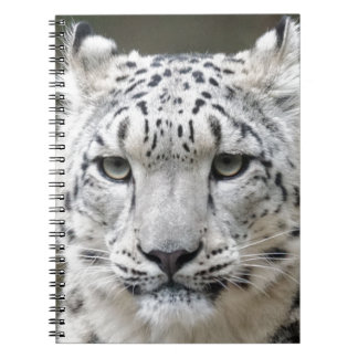 Caderno Espiral Leopardo de neve