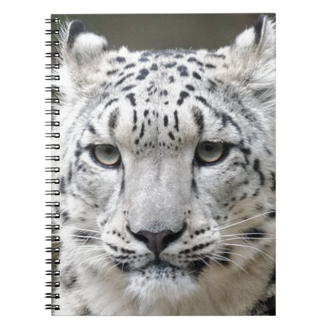 Caderno Espiral Leopardo de neve (Frente)