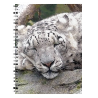 Caderno Espiral Leopardo de Neve - lindo!