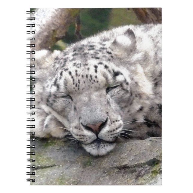Caderno Espiral Leopardo de Neve - lindo! (Frente)