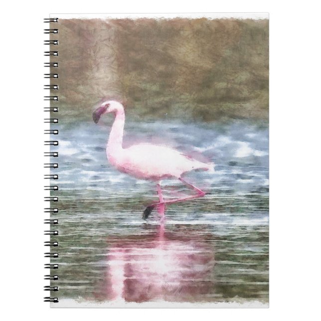 Caderno Espiral Lesser Flamingo Watercolor (Frente)