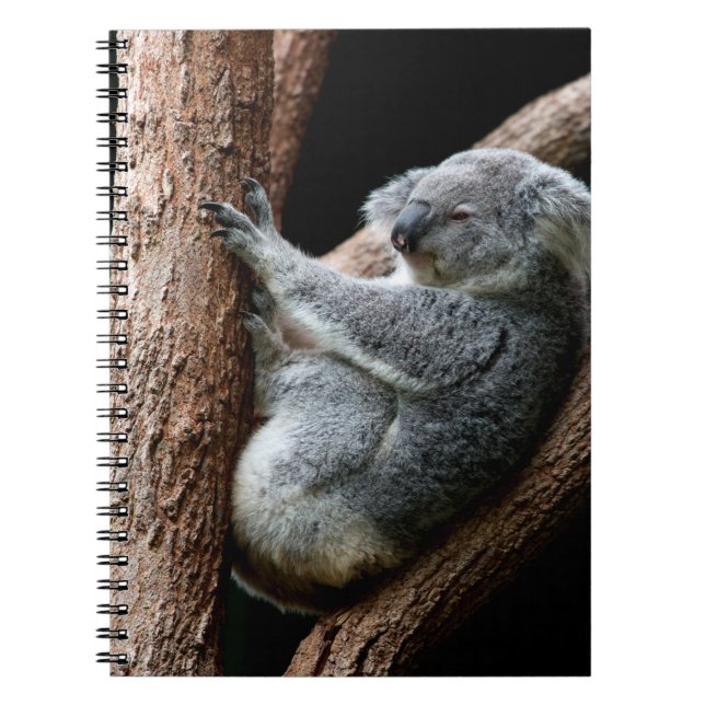 CADERNO ESPIRAL LEVE O SEU TEMPO (Frente)