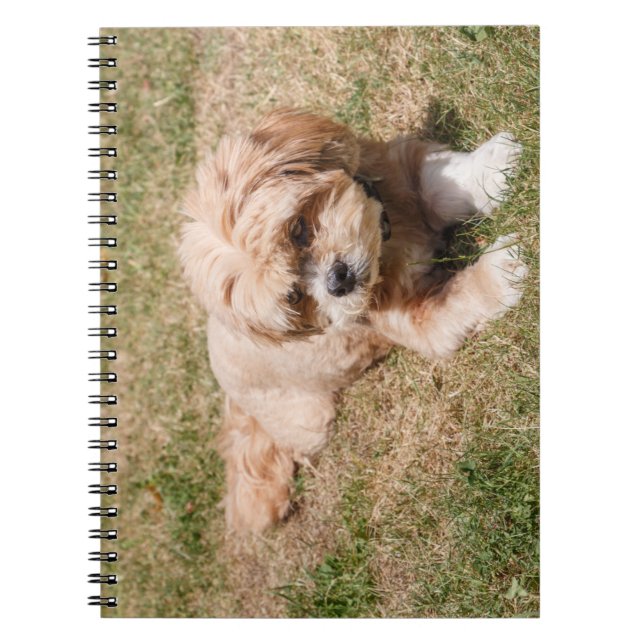 Caderno Espiral Lhasa Apso cão (Frente)