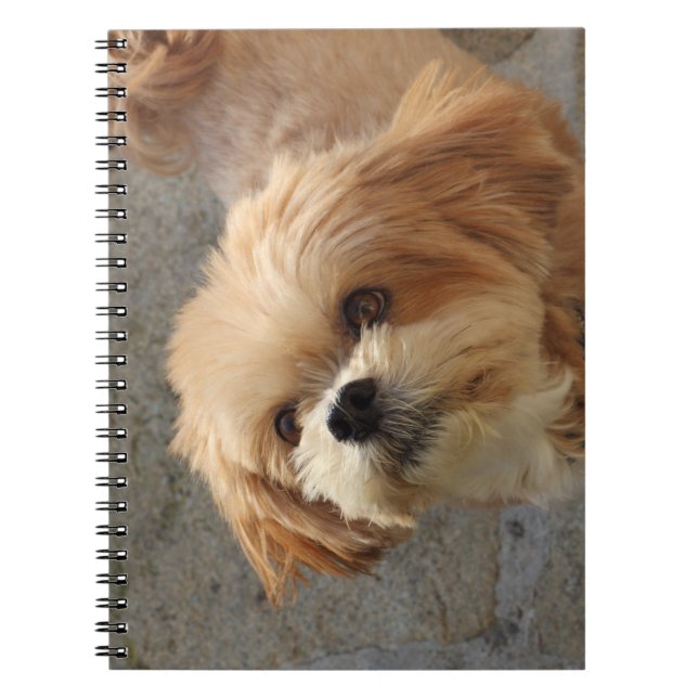 Caderno Espiral Lhasa Apso cão num jardim (Frente)