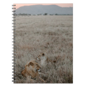 CADERNO ESPIRAL LÍÃO NO CAMPO DE GRAMAS MARAVILHOSA DURANTE O DI