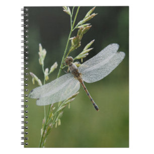 Caderno Espiral Libélula Darner coberta de orvalho