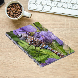 Caderno Espiral Libélula Darner de Olhos Azuis na Flor