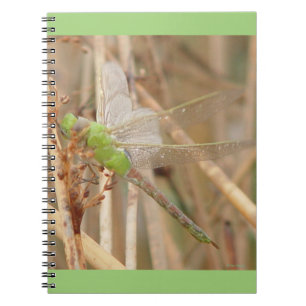 Caderno Espiral Libélula Verde I1