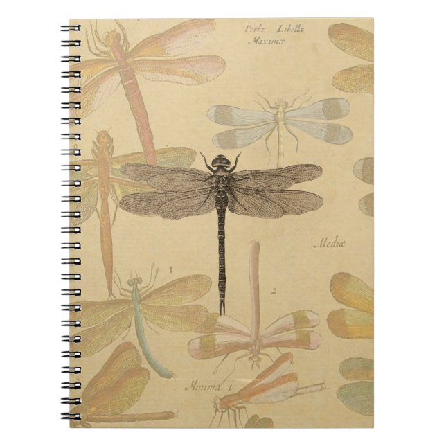Caderno Espiral Libélula Vintage Antiga Clássica Natureza (Frente)