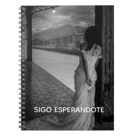 CADERNO ESPIRAL LIBRETA TAPA DURA