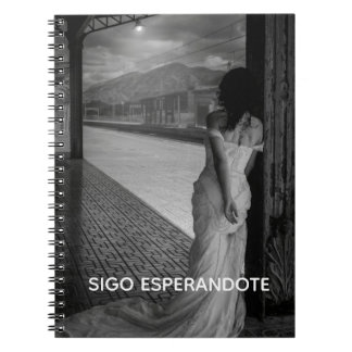 CADERNO ESPIRAL LIBRETA TAPA DURA