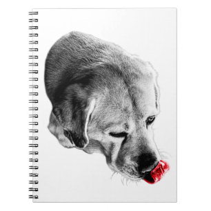 Caderno Espiral Lick of Inspiration
