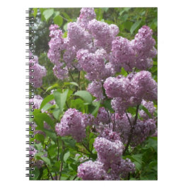 Caderno Espiral Lilac Bush bonito