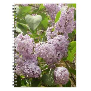 Caderno Espiral Lilac Bush Lindas Flores de primavera Roxas