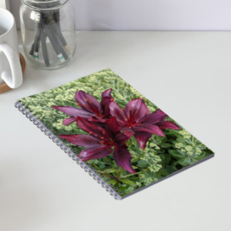 Caderno Espiral Lilases Asiáticos Vermelhos Escuros Florais