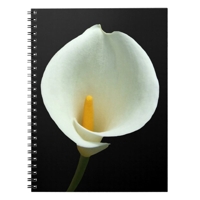 Caderno Espiral Lilly Notebook (Frente)