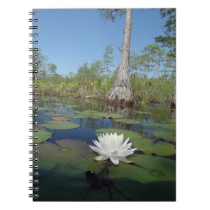 Caderno Espiral Lily 2