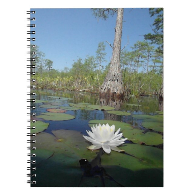 Caderno Espiral Lily 2 (Frente)