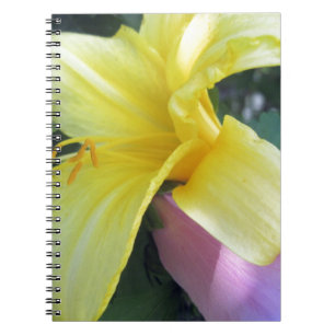 Caderno Espiral Lily Amarela