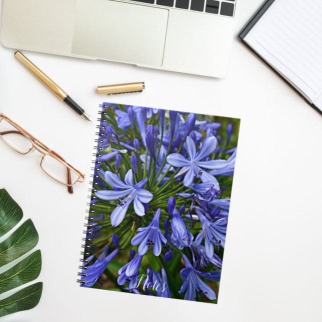 Caderno Espiral Lily Azul do Nilo Agapanthus Floral (In Situ)