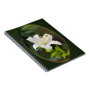 Caderno Espiral Lily branca-selvagem