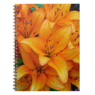 Caderno Espiral Lily design, cor de laranja