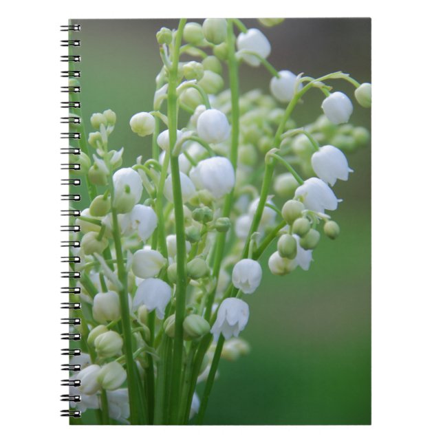 Caderno Espiral Lily do vale (Frente)