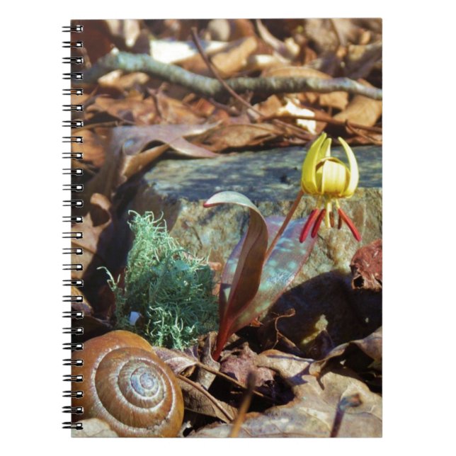 Caderno Espiral Lily e Shell com Trutas Amarelas e de Pedra (Frente)