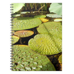 Caderno Espiral Lily Pads Fotografia para Notebook