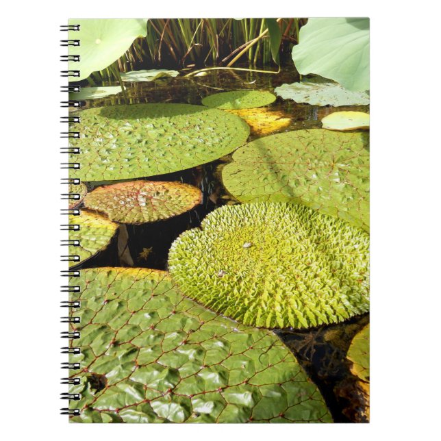 Caderno Espiral Lily Pads Fotografia para Notebook (Frente)