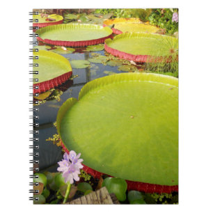 Caderno Espiral Lily Pads Fotografia para Notebook