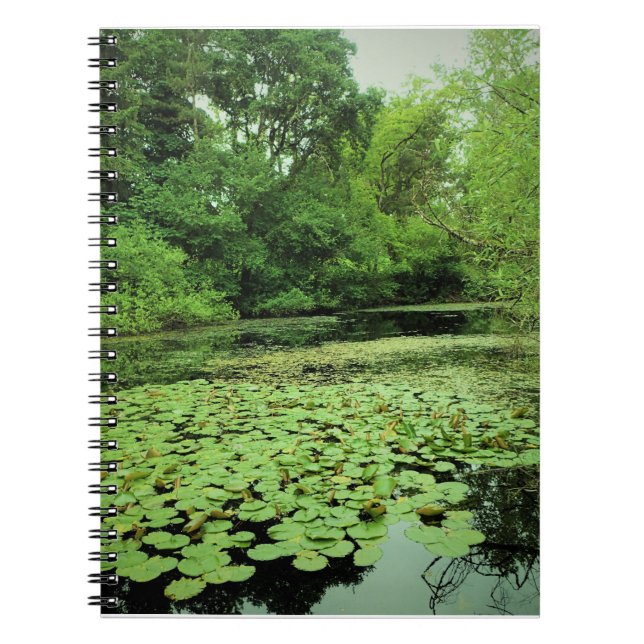 Caderno Espiral Lily Pads no Pond (Frente)