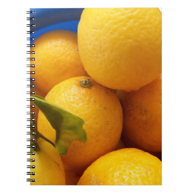 Caderno Espiral Limões Amarelos da Flórida (Frente)
