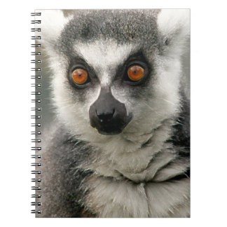 Caderno Espiral Limur