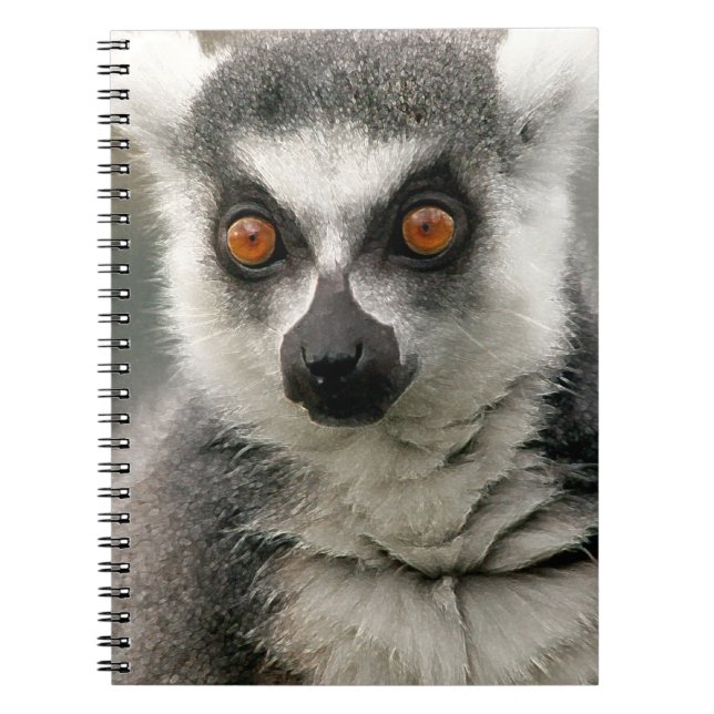 Caderno Espiral Limur (Frente)