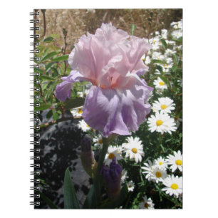 Caderno Espiral Linda Flor de Íris Roxa Foto floral