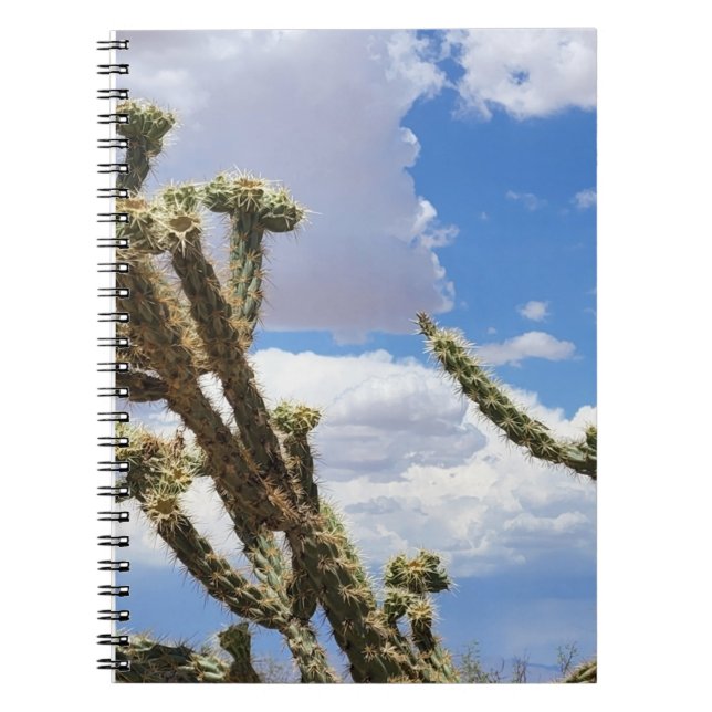 Caderno Espiral Linda Foto Cactus (Frente)