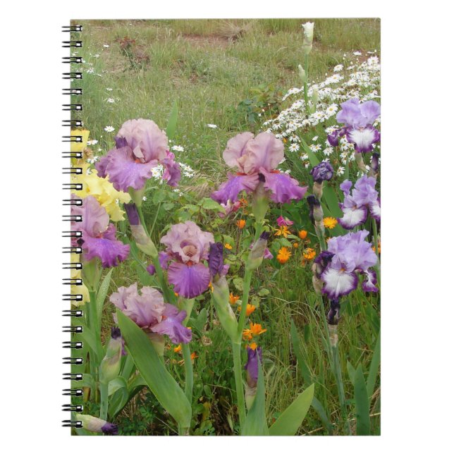 Caderno Espiral Linda Foto floral da Flor Roxo Iris (Frente)